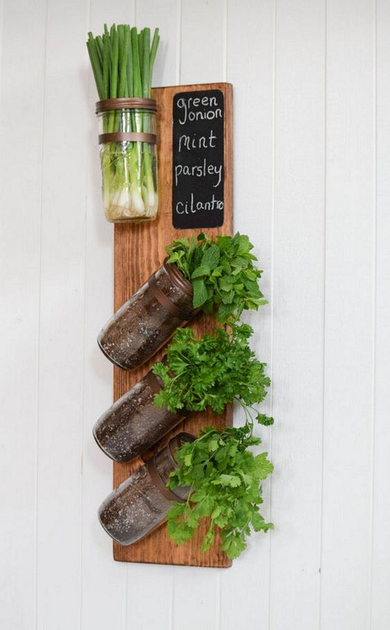 Marvelous DIY Wall Gardens Outdoor Design Ideas