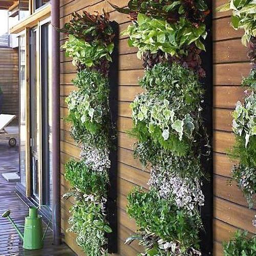 Modern and eco friendly Green wall design ideas