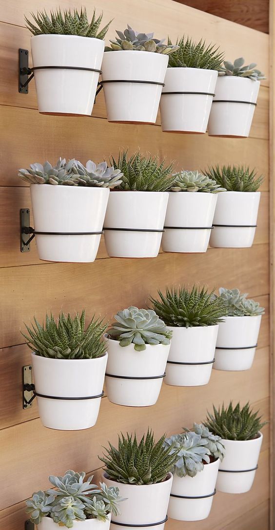 Multi-pot wood wall for succulents