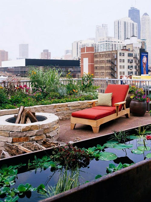 Rooftop Gardening