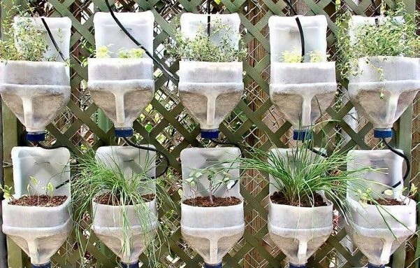 Self Watering Milk Jug Planter