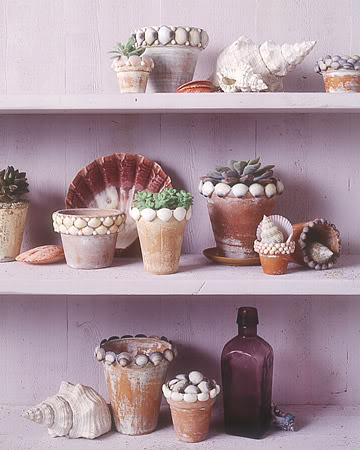 Shell Flower Pots