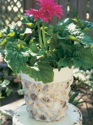 Shell Mosaic Flower Pots