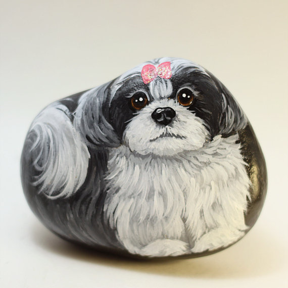 Shih Tzu Rock