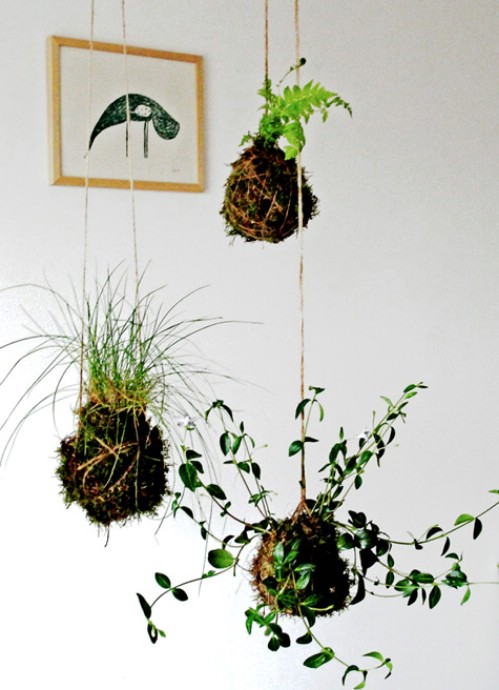 Suspended String Garden