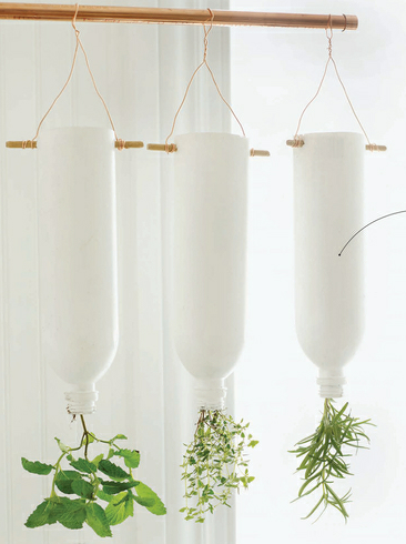 Upside-Down Herb Garden in Bottles