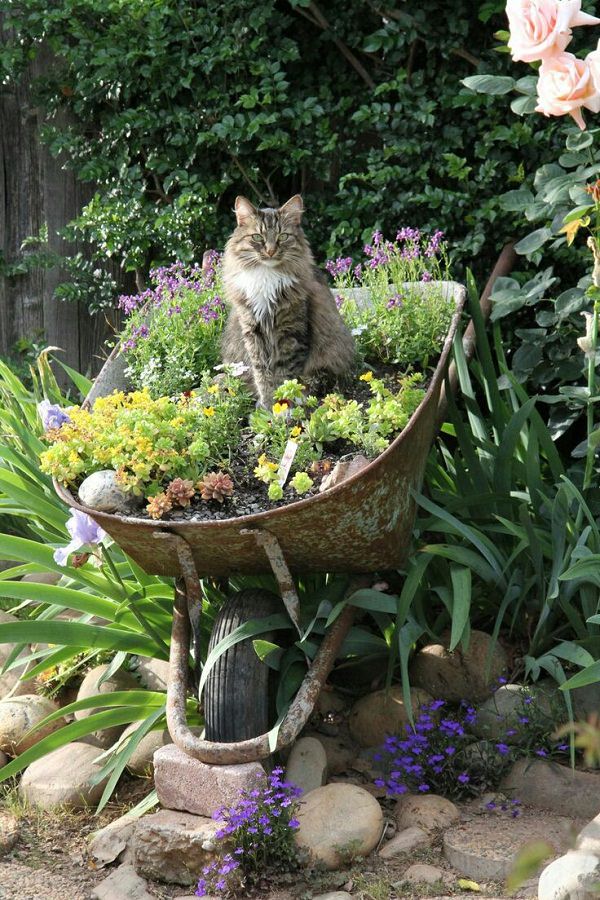 Wheelbarrow Planter