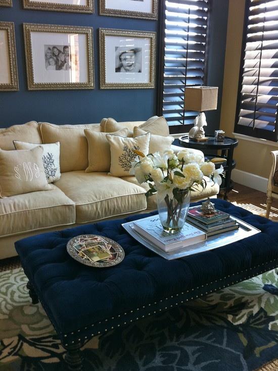 Adorrable Blue & Beige Living Room