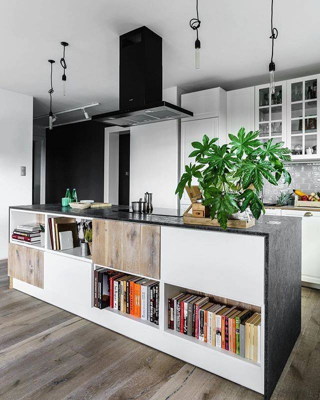 Dashing Loft Kitchen Idea