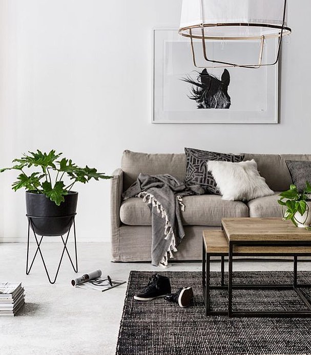 Graceful Beige Sofa, Chandelier,Rustic Table & Indoor Plant