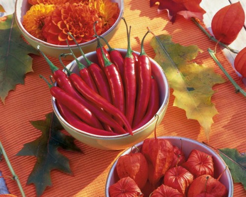 Crisp red color of chili peppers looks good mixed with colors of fall's blooms. Easy Fall Table Decorating Ideas
