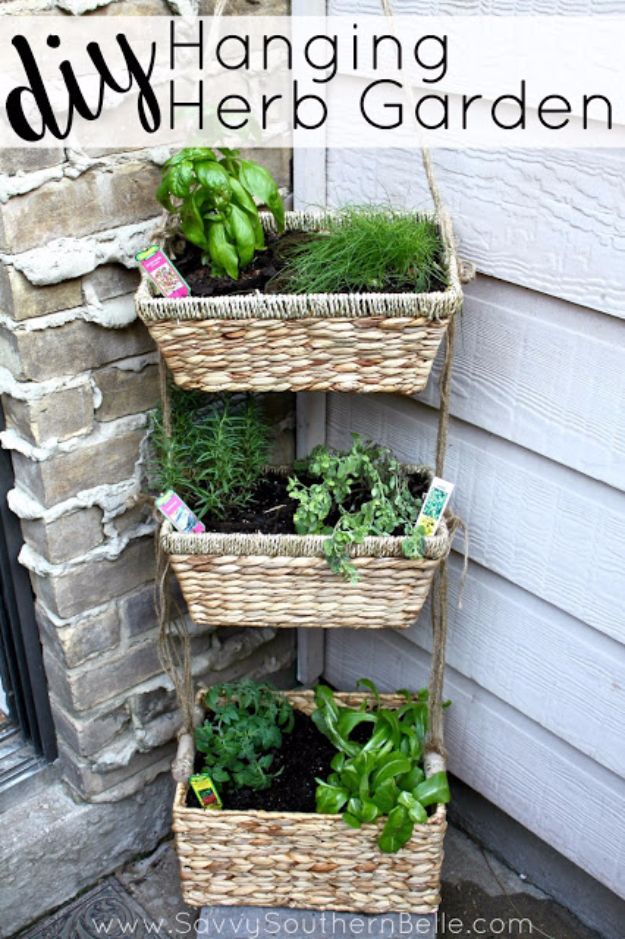 DIY Hanging Herb Garden via savvysouthernbelle