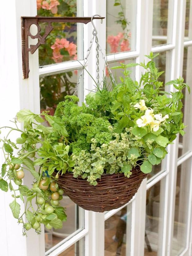 Hanging Herb And Vegetable Basket via hgtv