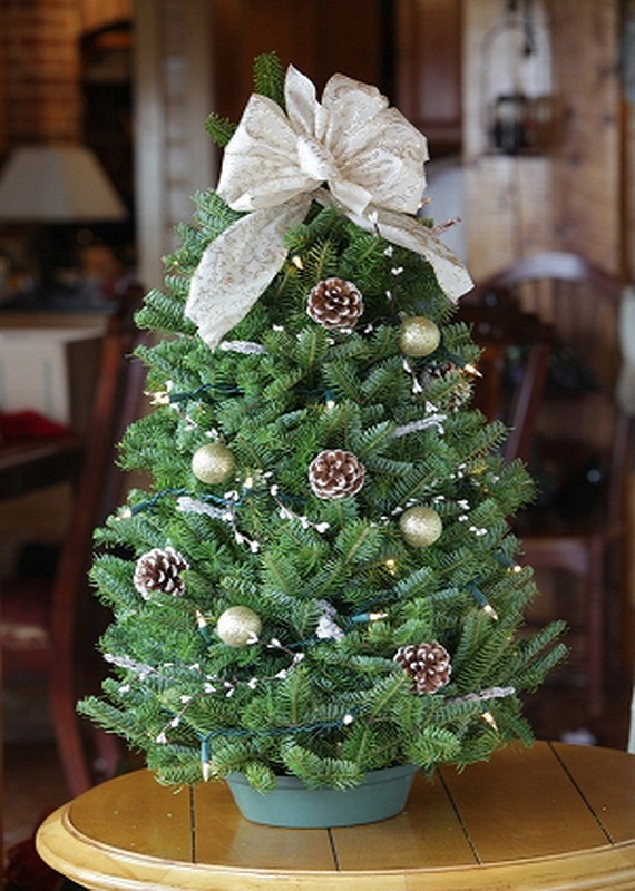 Pine Cones Decoration