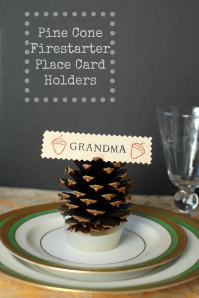 Pinecone Place Card Fire Starters By Boulder Locavore