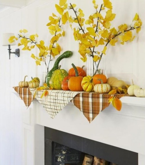 assortment of gourds and and pumpkins is perfect idea
