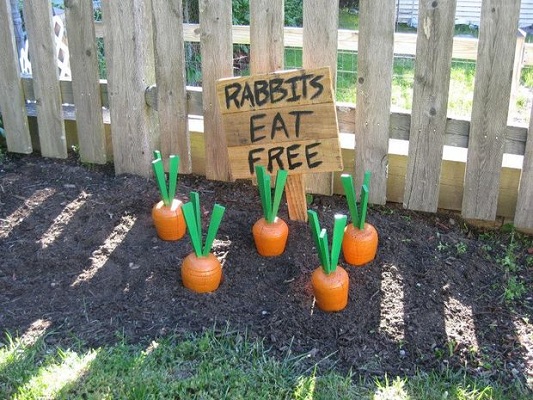 The Wooden Yard Carrots