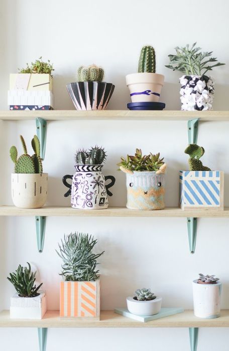 Living plants on shelves