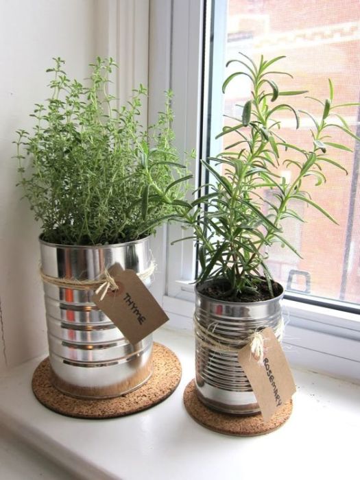 Pot with cans on the windowsill