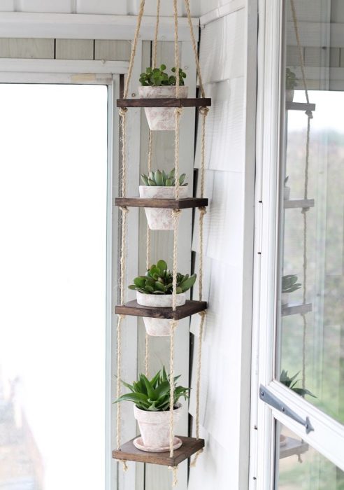 Suspended shelves for plants