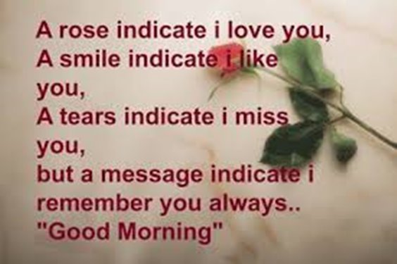 A rose indicates I love you, a smile indicates I like you, tears indicate I miss you, but a message indicate I remember you always..”Good morning