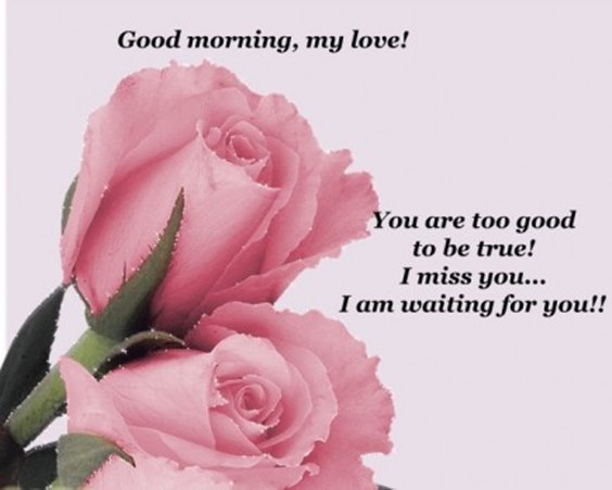 Good morning, my love! you are too good to be true! I miss you… I am waiting for you!!