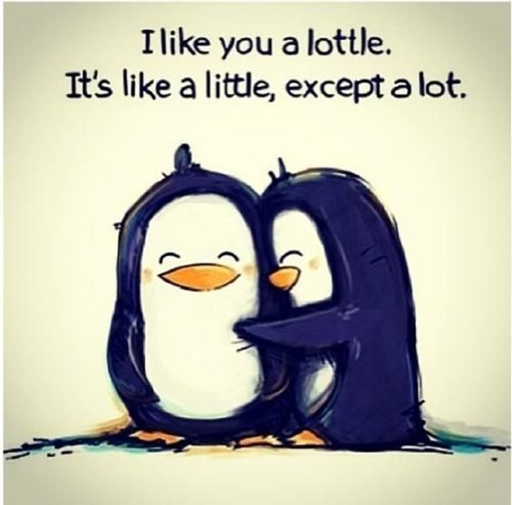 I like you a little. It’s like a little, except a lot.