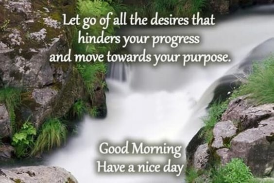 Let go of all the desires that hinder your progress and move towards your purpose. Good morning have a nice day