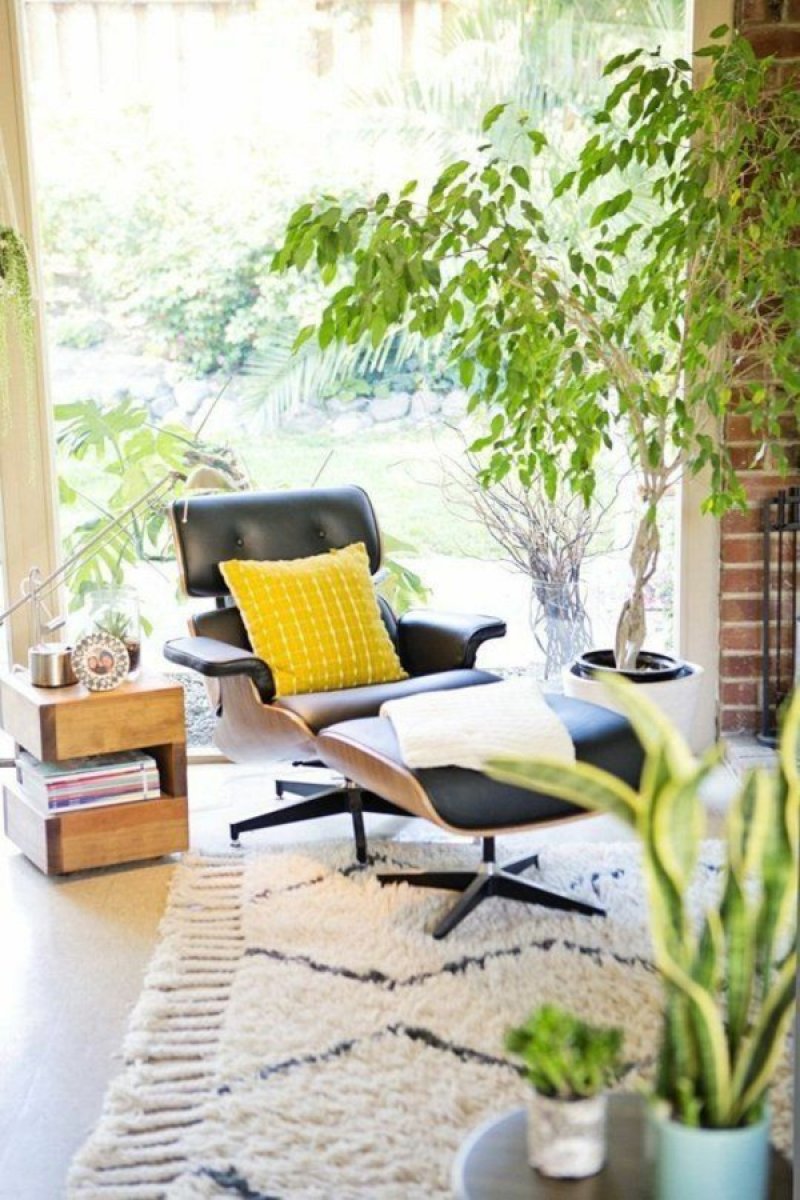 Relax corner with deck chairs and green indoor plants around shape