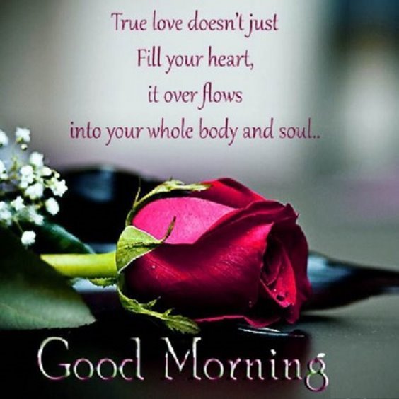 True love doesn’t just fill your heart, it overflows into your whole body and soul… Good morning
