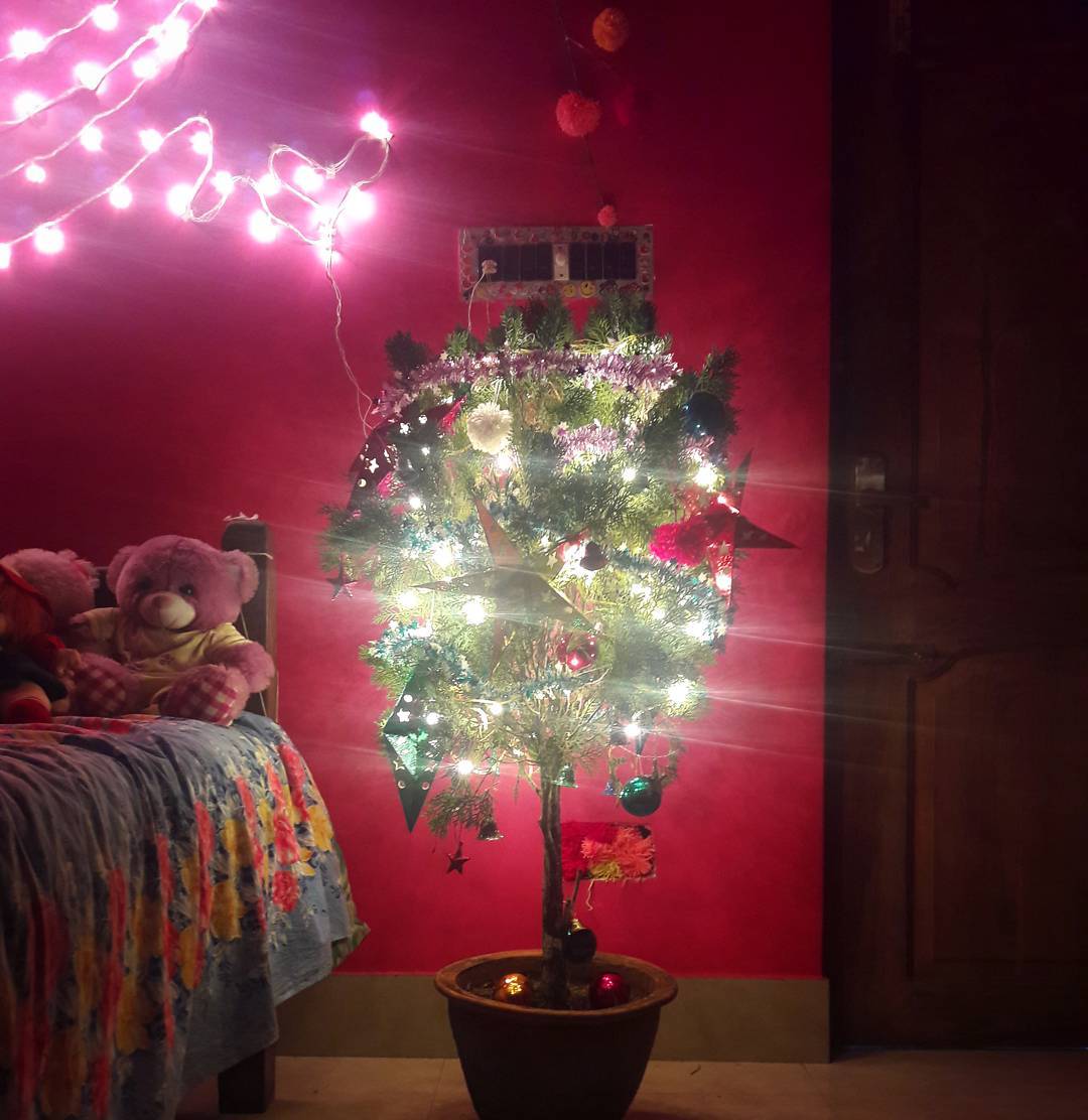 My christmas tree.