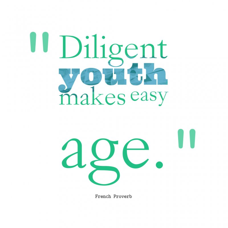 Diligent youth makes easy age. - French Proverb