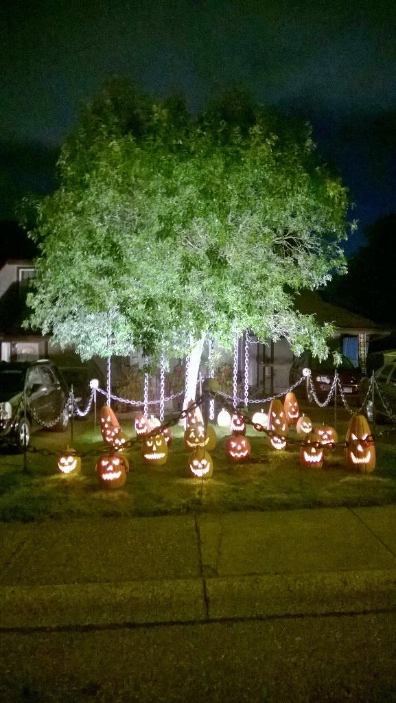 Halloween Front Yard Decoration.