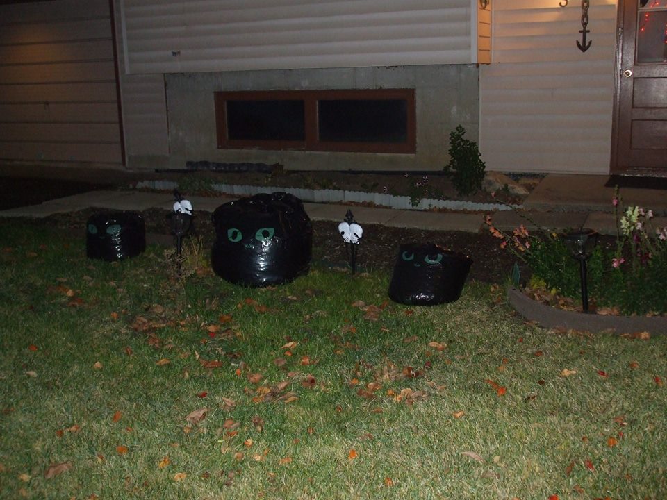 Halloween Night front yard.