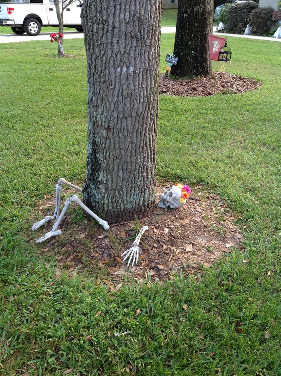 What a wonderful idea to decor your front yard.