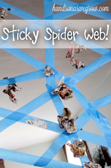 Sticky Spider Web Activity