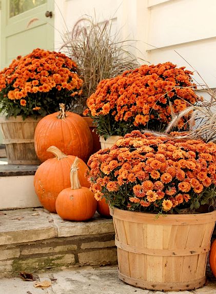 A few bushel baskets Pretty pumpkin.
