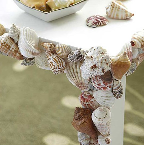 Create a Table With Shell Accents