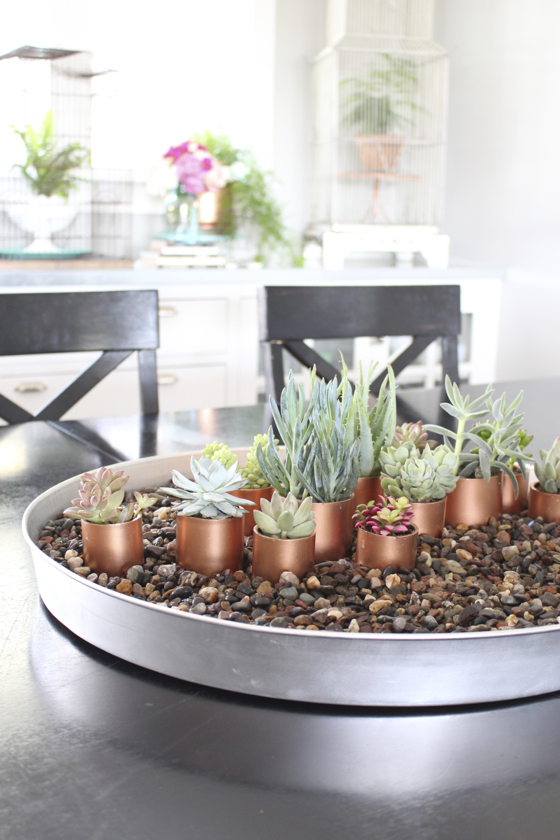 DIY Copper Succulent Arrangement