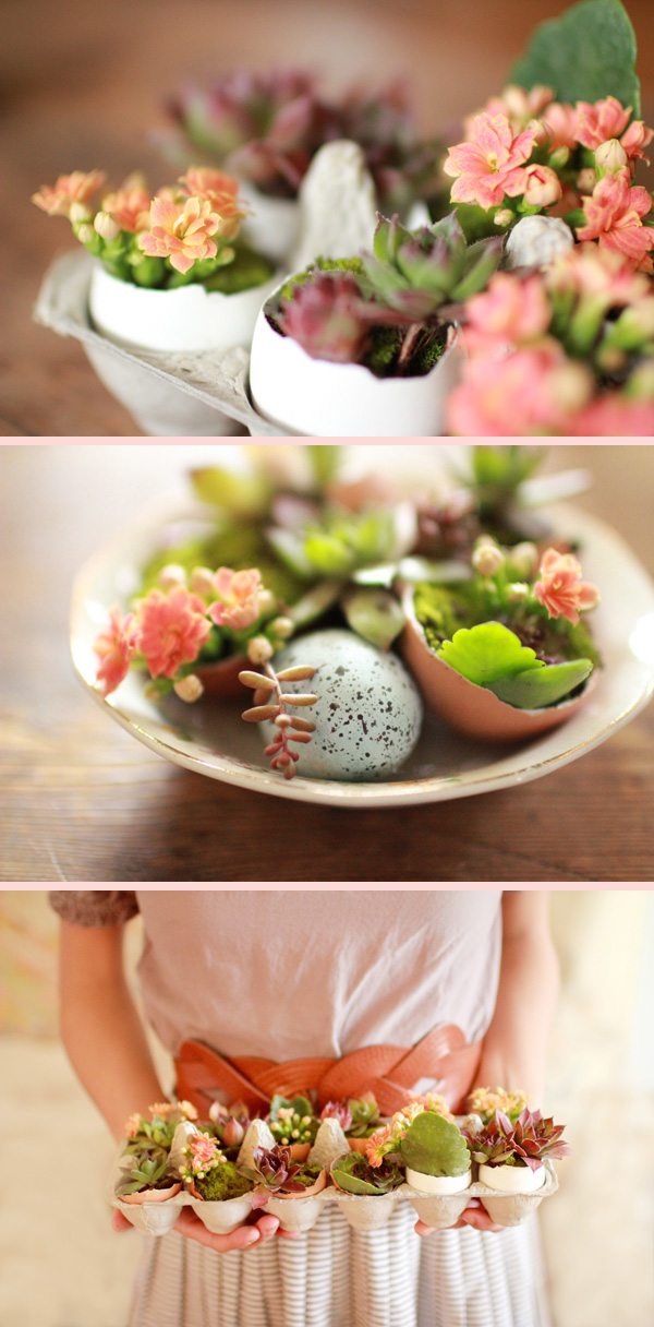 DIY easter egg succulent garden.