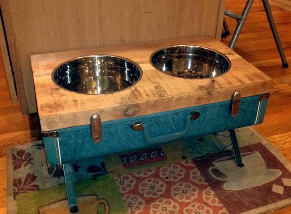 Dog Bowls.