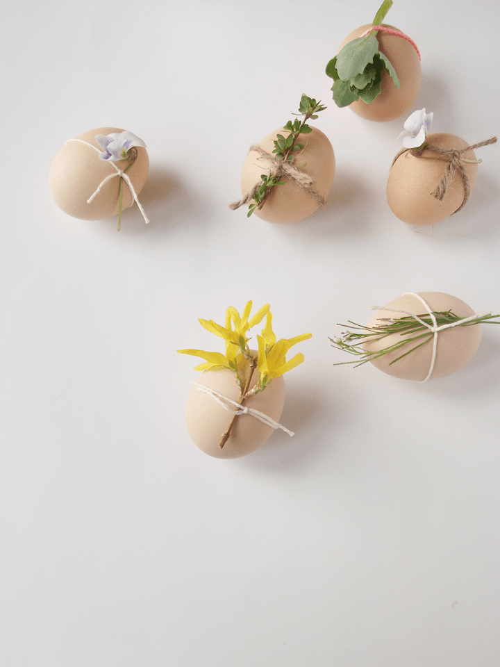 Eggs look so simple and pretty!​