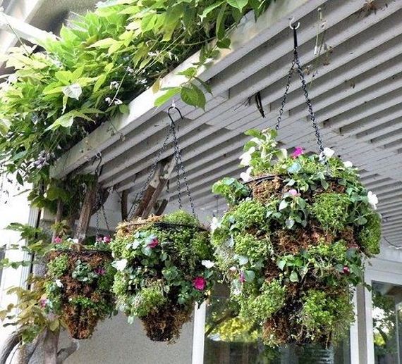 Hanging Baskets