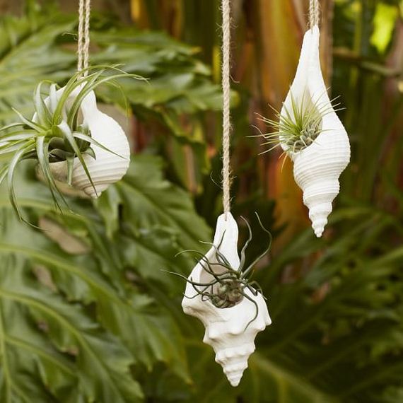 Hanging Shell Planters