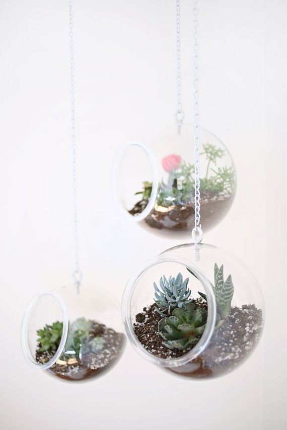 Plastic Fishbowls Hanging Planter