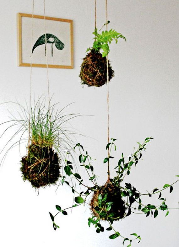 String Garden