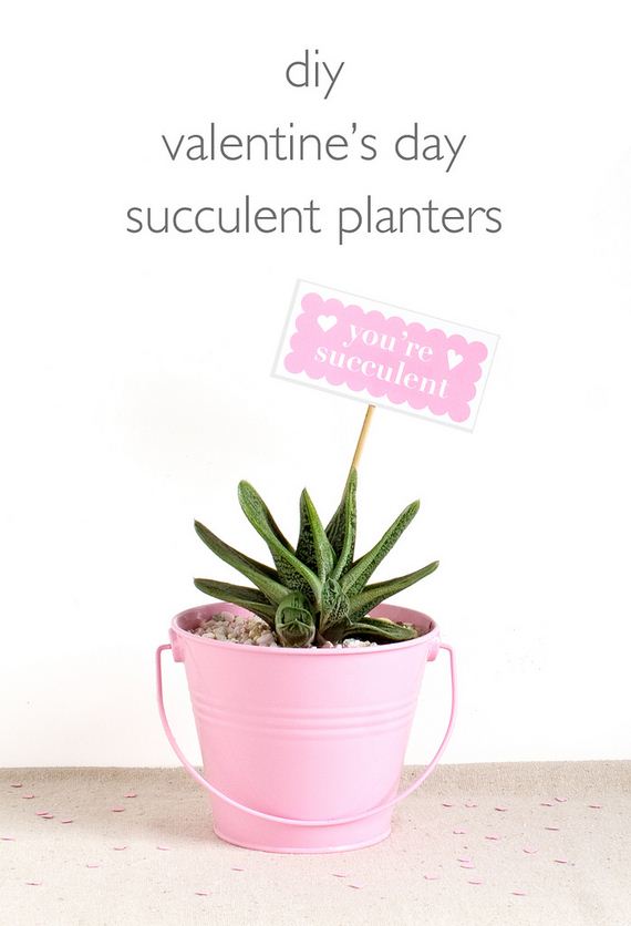 Succulent Planters.