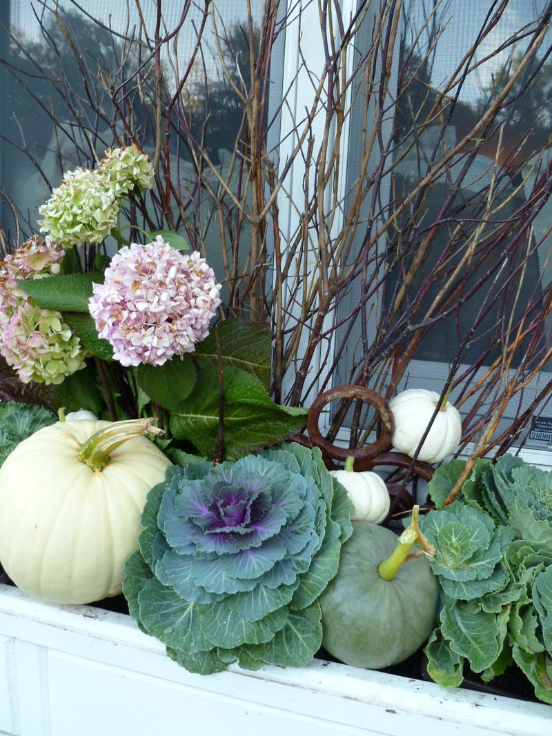 Window box transitioned from summer flowers to fall delights.