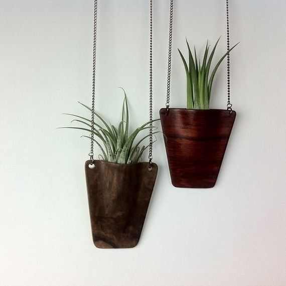 Wooden Air Plant Pendant