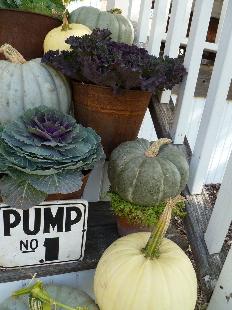 You can line the steps of pumpkin and you can make a beautiful porch.